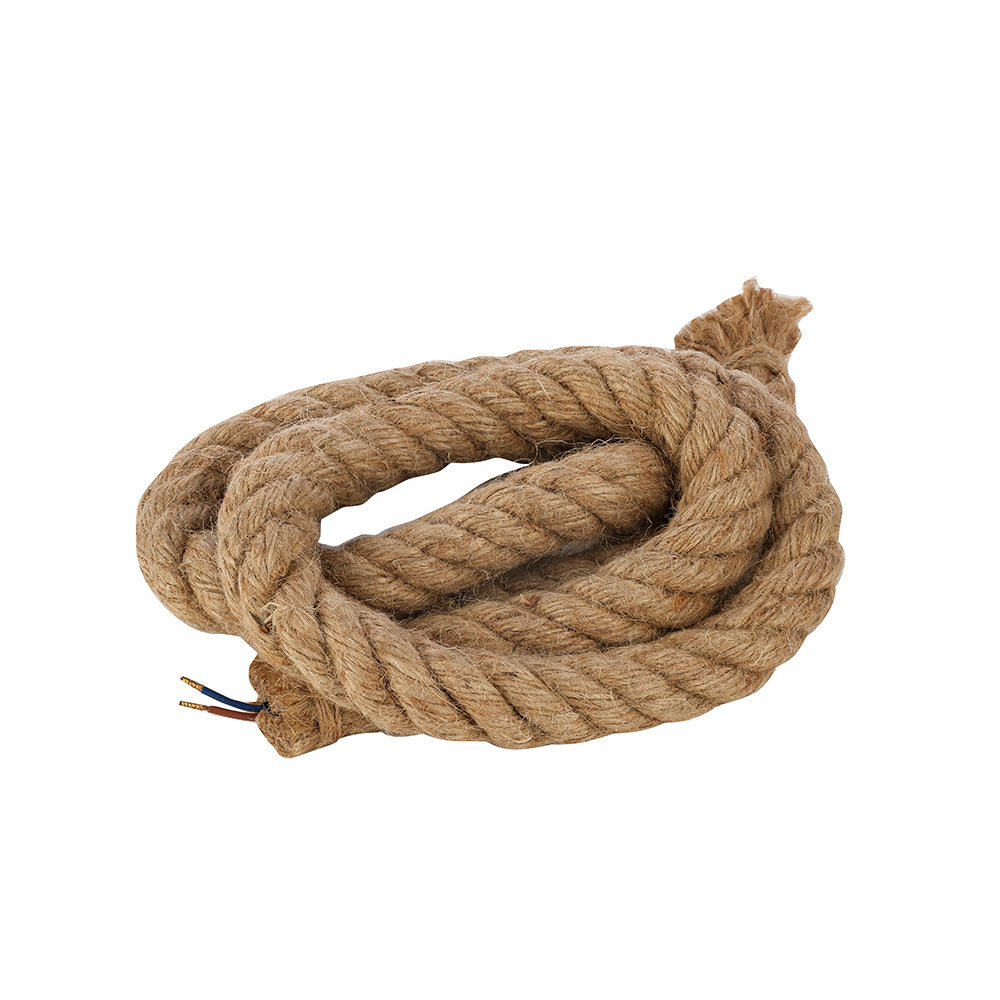 Electric wire