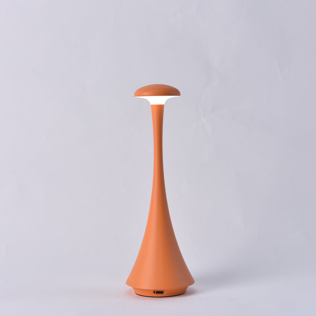 Table Lamp USB Rechargeable Touch Control Night Light for Bedroom  Restaurant  Desk
